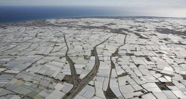 plasticos-agricultura-plasticultura|plasticultura-mulch